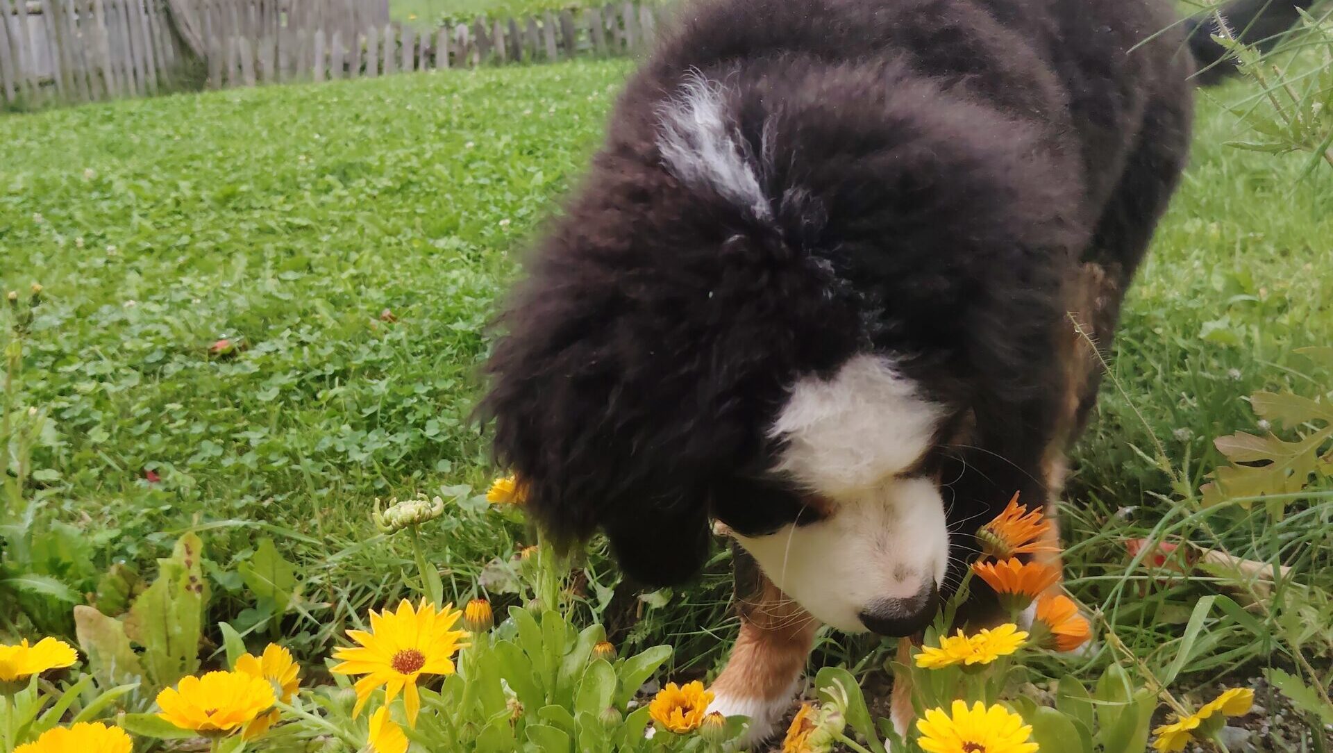 IMG 20250821 145629[1]