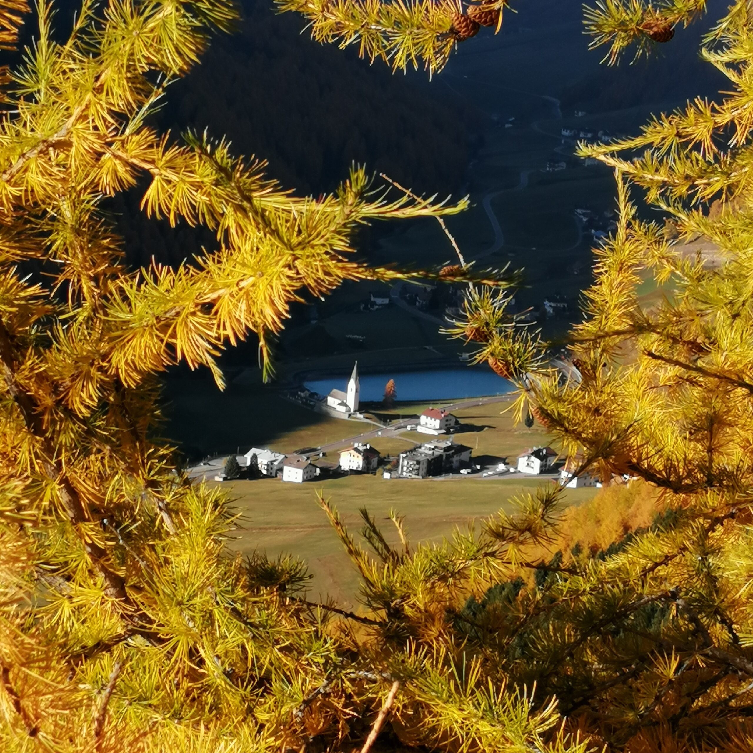 Wiartshof Urlaub auf dem Bauernhof Langtaufers Ferienwohnung Goldener Herbst Langtaufers Grub