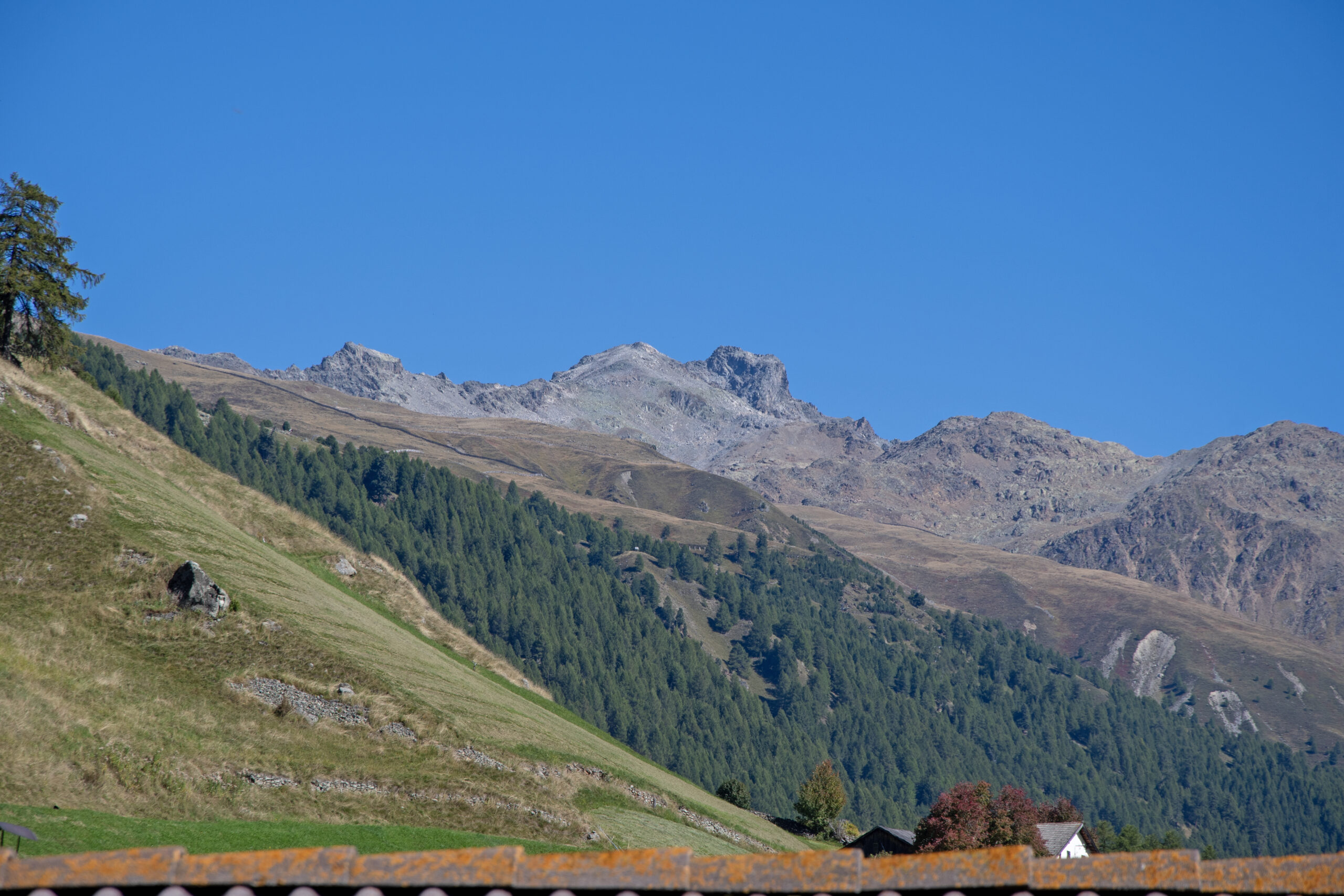 Wiartshof Urlaub auf dem Bauernof Langtaufers Ferienwohnung Heustadl Ausblick Balkon Taleinwärts
