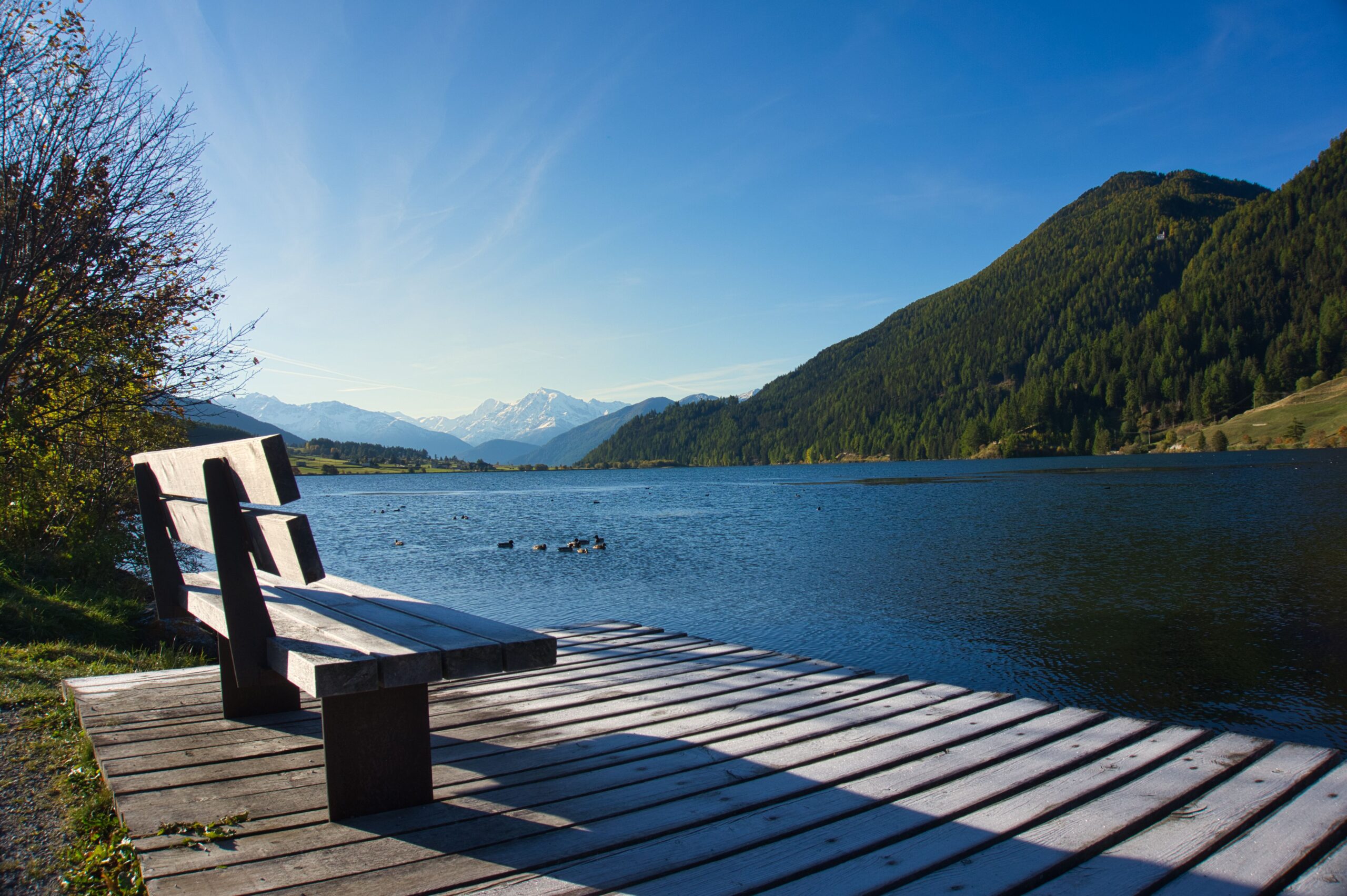 Wiartshof Urlaub auf dem Bauernof Langtaufers Ferienwohnungen Bank am Haidersee